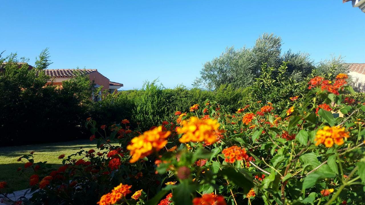 Casa I Falchi 布多尼 外观 照片