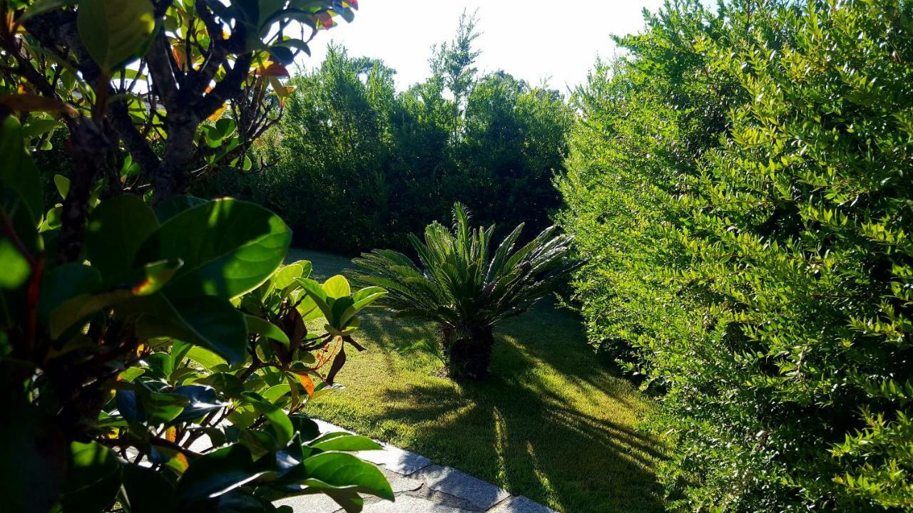 Casa I Falchi 布多尼 外观 照片
